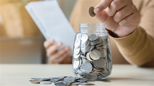 Arabia Investments Holding turns to losses in 2024
